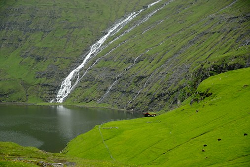 foss