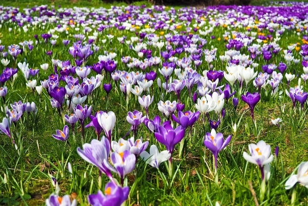 Springtime