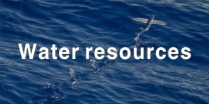 Water Resources